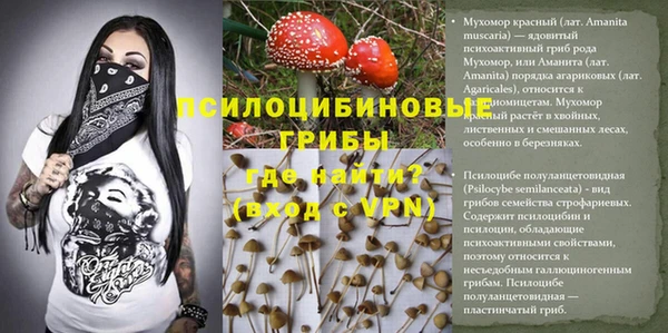 кокаин премиум Алексин