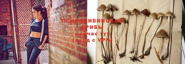 кокс Алзамай