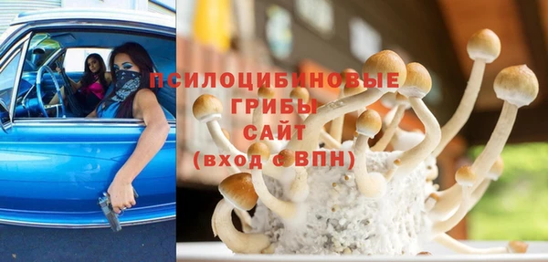 кокс Алзамай