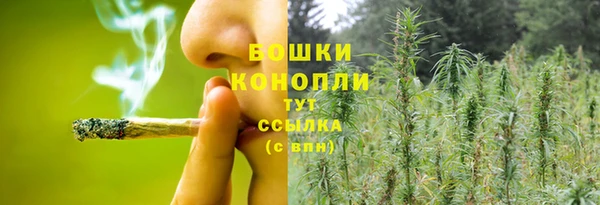 трава Нязепетровск