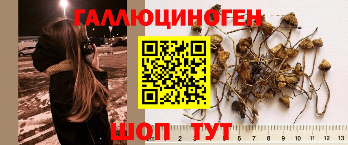 Обнинск  Псилоцибиновые грибы GOLDEN TEACHER  Вход с VPN 