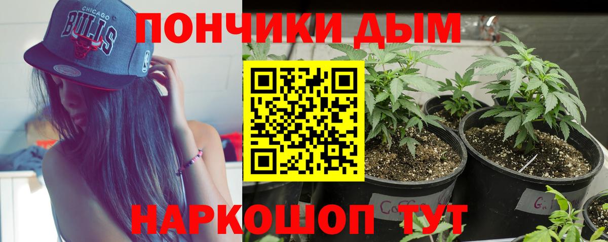 Бошки Шишки семена  Вход с VPN  Обнинск  Бошки марихуана AK-47 